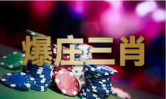 材料大全+正版材料20
