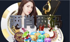 <b>2023年最精准的免费材料</b>