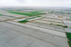 科技绘就新疆春耕新图景